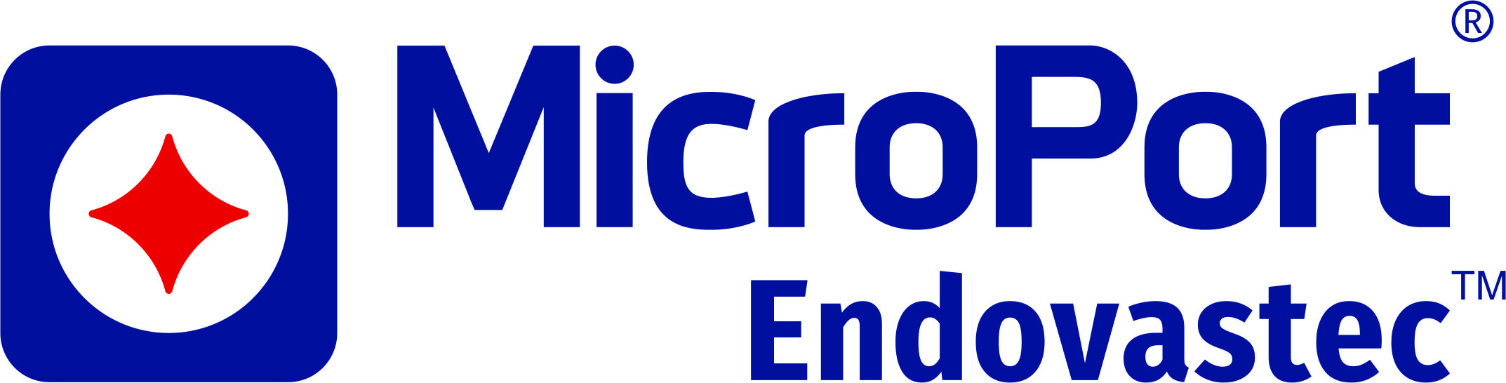Shanghai MicroPort Endovascular MedTech (Group) Co. Ltd.